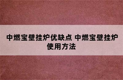 中燃宝壁挂炉优缺点 中燃宝壁挂炉使用方法